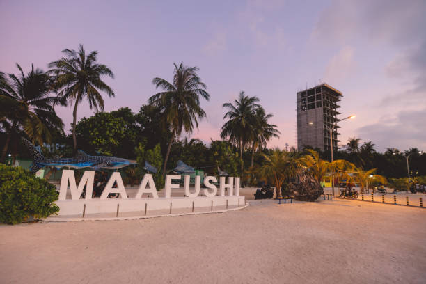 istock White Stone Letters for Maafushi Island Designation with Nice Palm Trees during the Sunset Time 1385682828