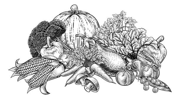 Vegetables and fruit food produce illustration in a vintage retro woodcut etching style.