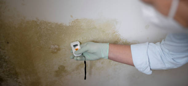el hombre con protección de la nariz y la boca mide el nivel de humedad en una pared con moho - mold molding wall wet fotografías e imágenes de stock