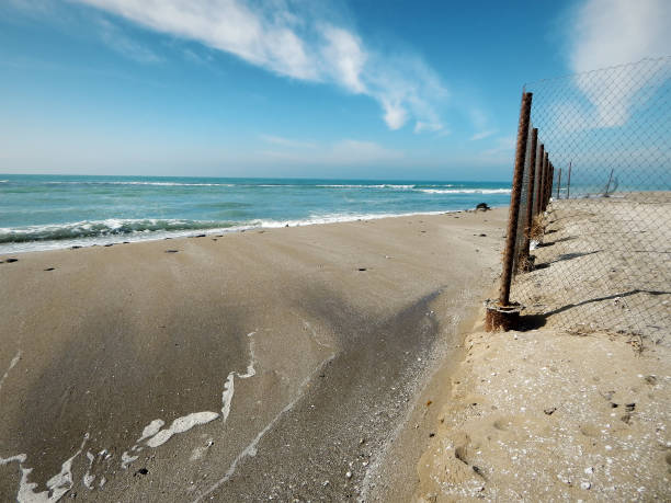 istock Sandy coast of the Caspian Sea. 1385684318