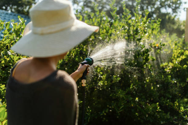 istock Woman working on organic farm 1385684594