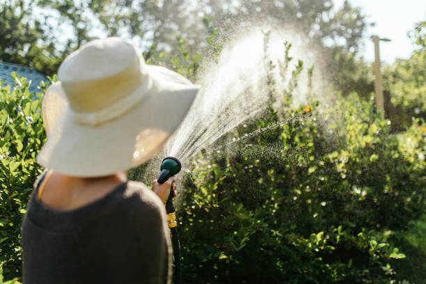 istock Woman working on organic farm 1385684667