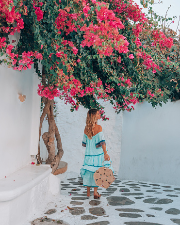 Back view of a young beautiful happy traveller female lady with a blue dress and bag enjoys under the red bougainvillaea or begonvil flower scenery and walking through the traditional white and blue small, whitewashed alleys of Mikonos town, Cyclades islands of Greece during summertime.