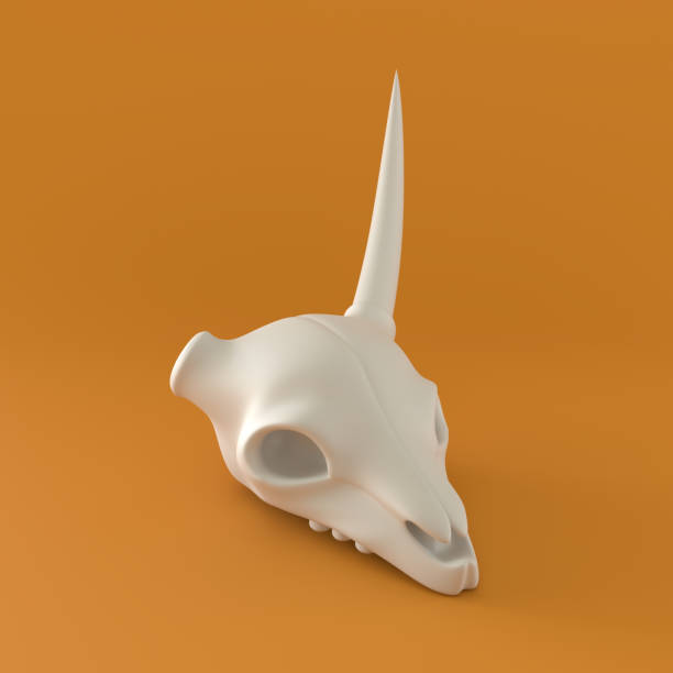 오렌지 배경에 흑백 사슴 두개골, 3d 렌더링 - antler stag deer animal skull 뉴스 사진 이미지