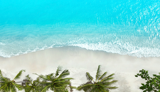 Aerial view in summer  amazing Sandy coastline and palm trees as turquiose sea waves. as of white sand beach and water surface texture, foamy waves