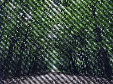 Pixelated Image - Path in the Woodland - Abstract Design Template in Editable Vector Format