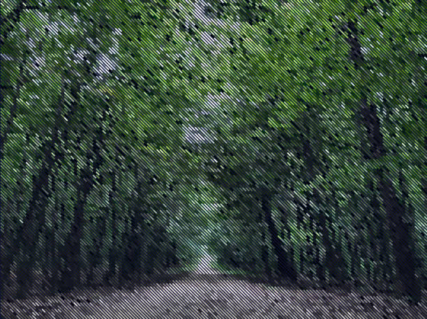 Pixelated Forest Pathway Image Pixelated Image - Path in the Woodland - Abstract Design Template in Editable Vector Format pixelated photos stock illustrations