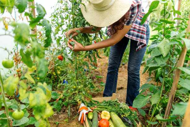 Woman working on organic farm