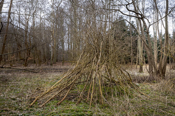 istock Children’s play hut in a forest 1385693723