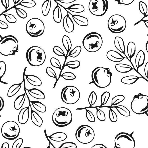 Vector illustration of Seamless pattern with blueberry. Hand drawn illustration converted to vector.