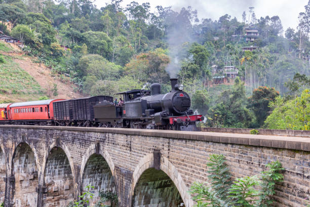 istock Steam train on the Nine Arches Demodara Bridge 1385697660