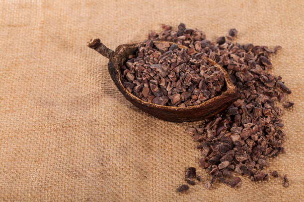 istock Theobroma cacao - Dried Crushed Cocoa Beans 1385698559