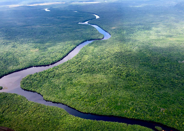 istock canaima jungle landscape in venezuela 1385701285