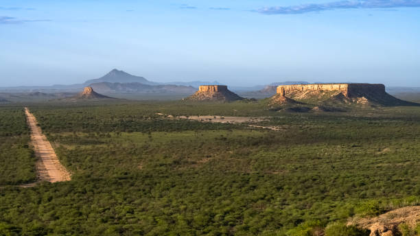 istock Namibia, landscape of the bush 1385701343