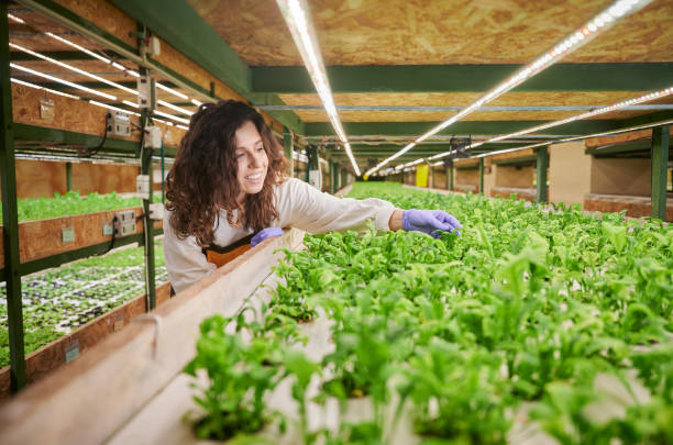 istock Cheerful woman checking plants in greenhouse. 1385703210