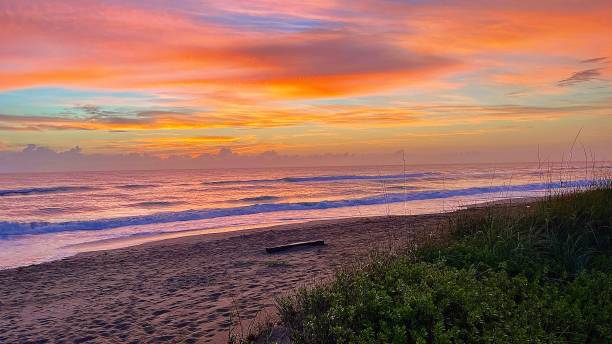 istock Dusk in the tropics with beautiful multiple colored sky at the beach overlooking the ocean 1385703602