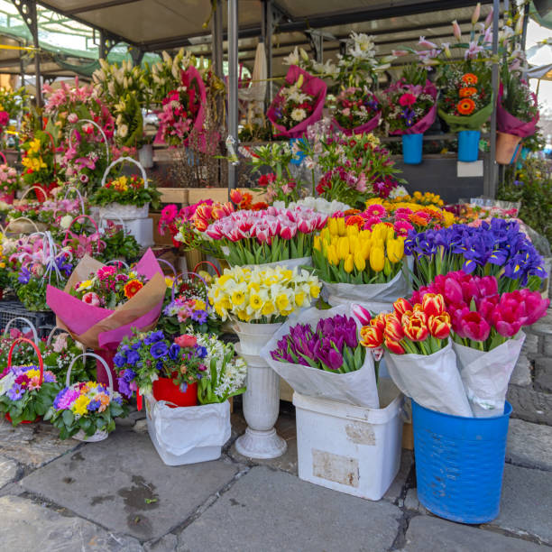 bauernmarkt floristenstand - rose flower shop variation color image stock-fotos und bilder