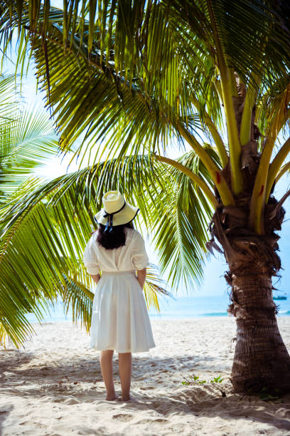 Young women standing  under a coconut tree by the sea