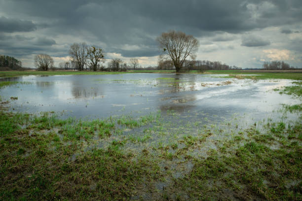 istock Rainfall water in the meadow and cloudy sky 1385706158