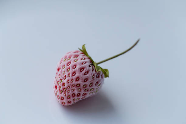 One fresh red strawberry on a white background.