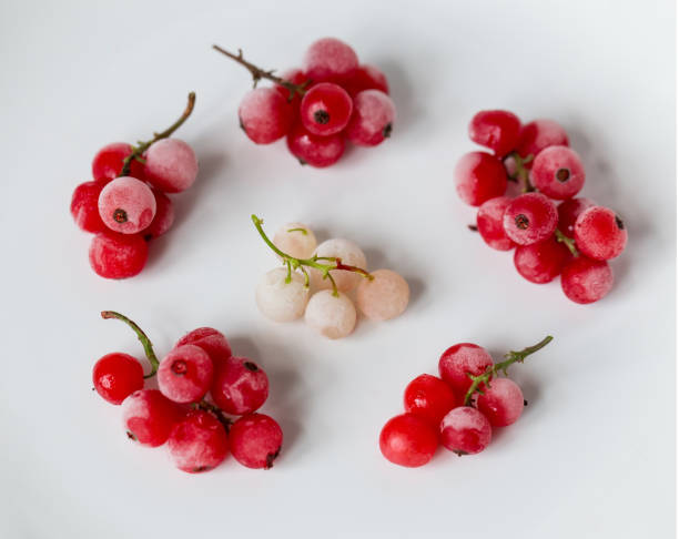 Red and white berry on a white background. Clousup macro