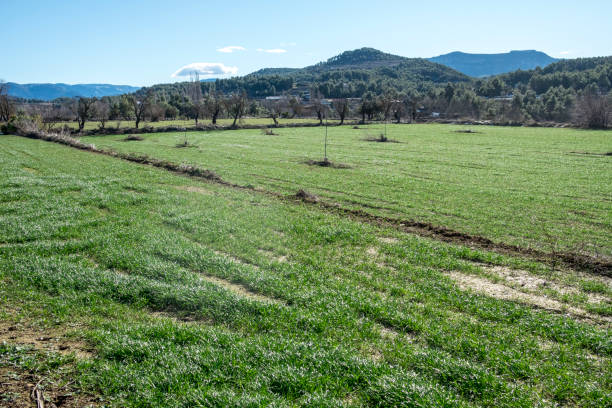 istock Matarranya, Teruel province. Spain 1385709417