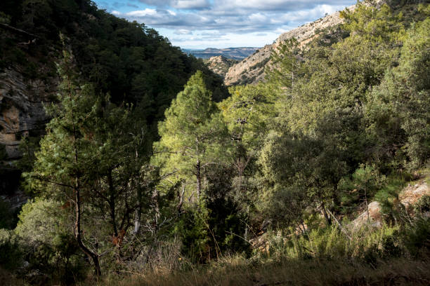 istock Los Ports Natural Park 1385709419