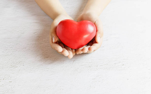 herz in handgebendes herzspendekonzept. - human cardiovascular system heart shape human hand healthy lifestyle stock-fotos und bilder