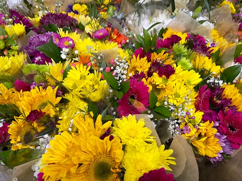 Bright colored flowers wrapped in bunches at floral shop. Variety of multicolored flower.