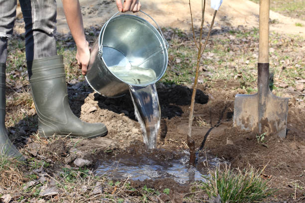 istock springtime cares in the garden 1385712623