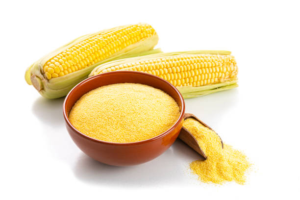 Close up view of a clay bowl filled with corn grits shot on white background. Corncobs complete the composition. High resolution 42Mp studio digital capture taken with Sony A7rII and Sony FE 90mm f2.8 macro G OSS lens