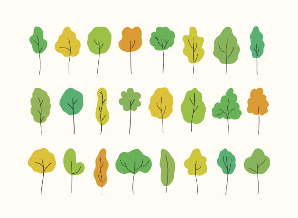 ilustrações, clipart, desenhos animados e ícones de árvores de vetor - poplar tree forest oak tree autumn