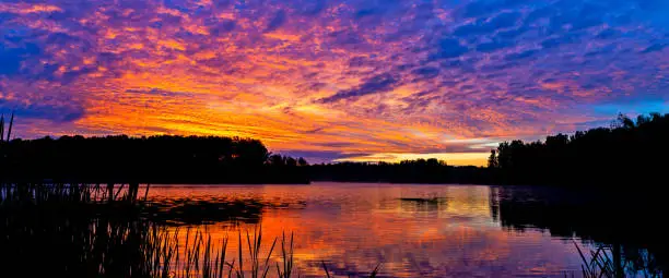 early morning or late evening dramatic sky over forest lake or river, summer landscape wide panoramic shot
