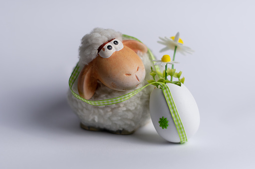 Beautiful white fluffy sheep with cute ceramic head and big eyes standing next to Easter egg filled with spring flowers, front view. Isolated white background.