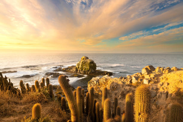 istock Punta de Lobos in Pichilemu 1385723863