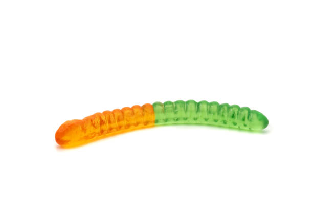 istock Colorful Fruity Gummy Worm Candy isolated on white background. 1385727659