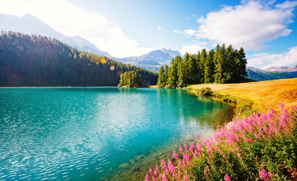 el estanque azul champfer es un lugar único en la tierra. - switzerland lake mountain landscape fotografías e imágenes de stock