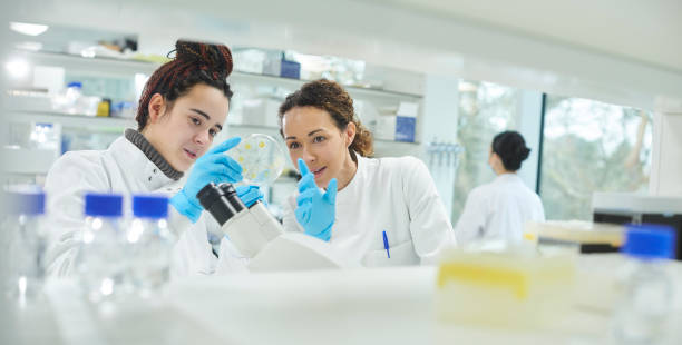 istock discussing a petri dish in the lab 1385731414