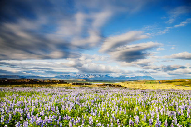 istock Typical icelandic panorama. Location Iceland, Europe. 1385731608