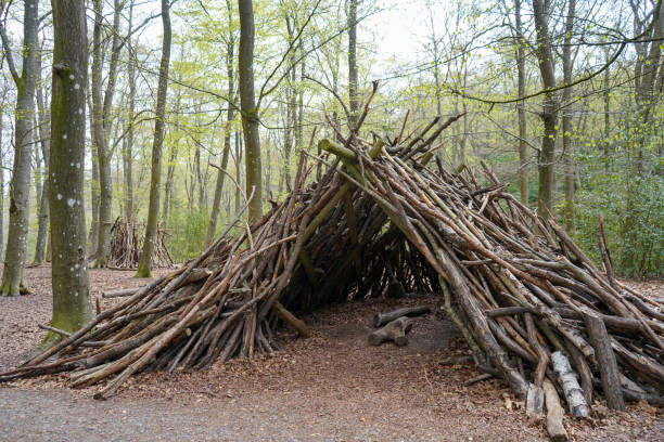 Hut in woodland made out of logs Hut in woodland made out of logs emergency shelter stock pictures, royalty-free photos & images