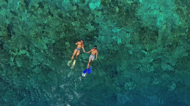 Drone view of young couple snorkeling over coral reef in ocean