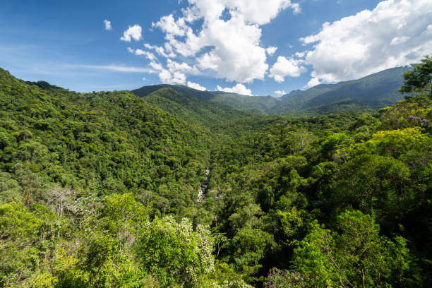 Beautiful view to green atlantic rainforest valley in Itatiaia Park stock photo