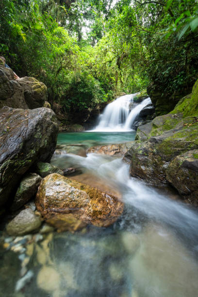 istock Beautiful view to green atlantic rainforest waterfall with blue water 1385737640
