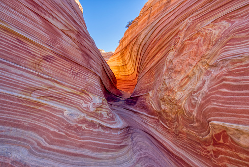 Desert Flats in remote Arizona. This rugged landscape shows the rural and rugged terrain of the arid area near horseshoe bend. There are small thorned bushes growing in the rough limestone face. The red stones create a geologic texture that casts busy shadows and contrasts with the deep blue cloudless sky above - with plenty of copy space. You can see a mountain range in the distance, a beautiful nature landscape of the southwest