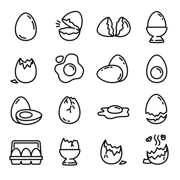 illustrations, cliparts, dessins animés et icônes de ensemble d’icônes eggshell, style de contour - eggs animal egg cracked egg yolk