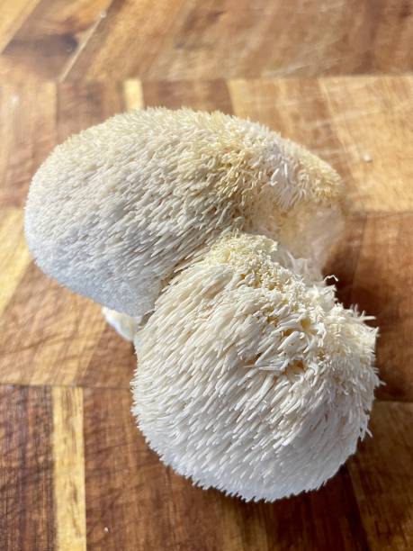 istock Lion's Mane Mushroom 1385747502