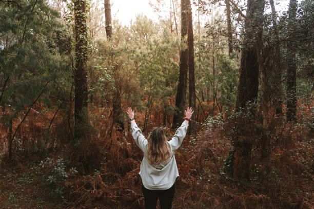 istock Woman with arms raised in a pine tree forest 1385750959