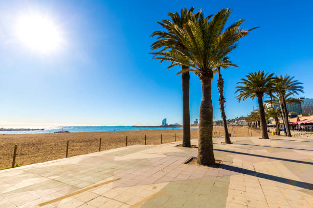 istock Beach promenade  in Barcelona 1385751775