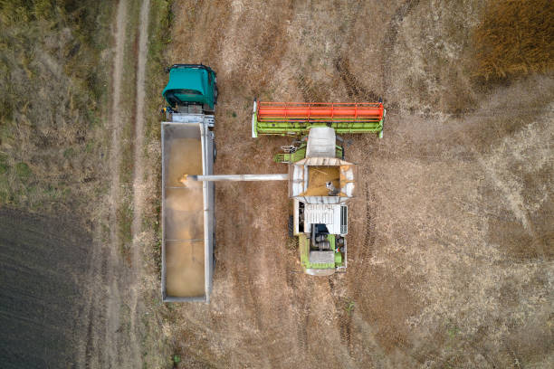istock Aerial view of combine harvester unloading grain in cargo trailer working during harvesting season on large ripe wheat field. Agriculture and transportation of raw farm products concept 1385755293