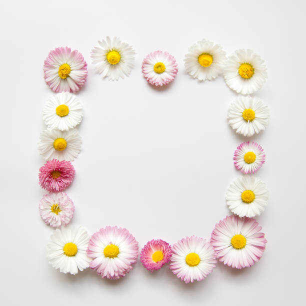 istock Background design with flowers as border, flower frame, pink, white background, wishes, greetings, flower frame to write content. 1385755312